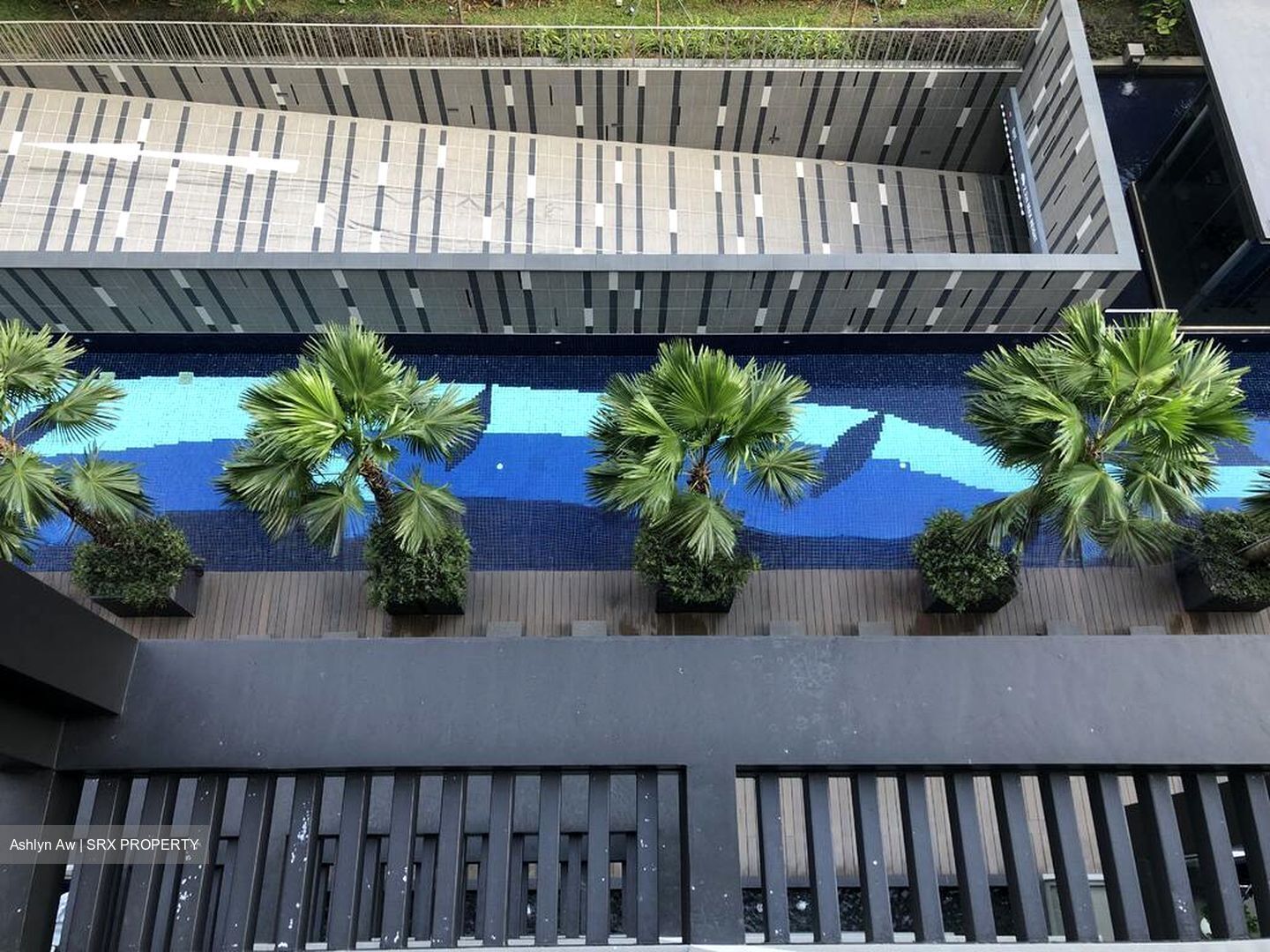 Adana @ Thomson (D20), Apartment #503187981